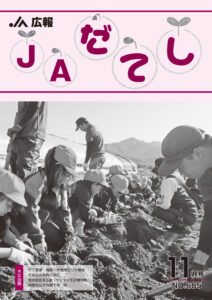 cover2411