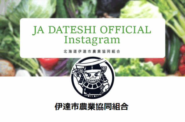インスタグラム